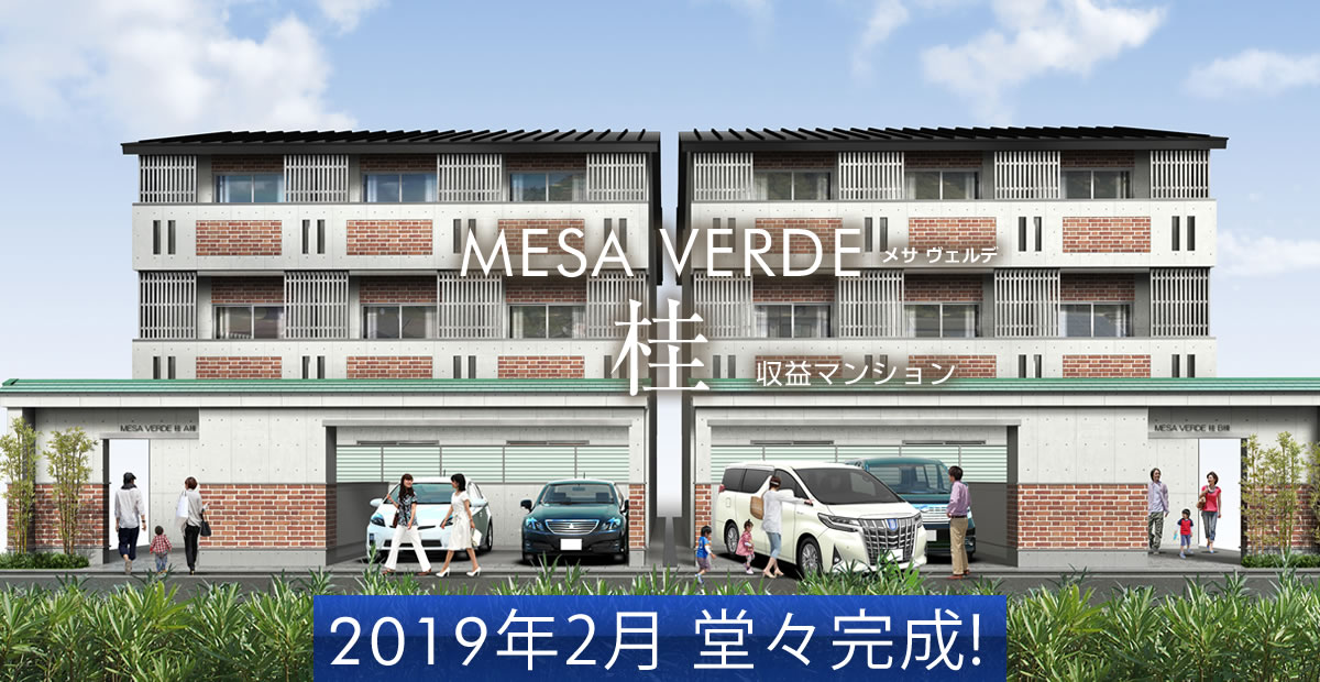 MESA VERDE 桂